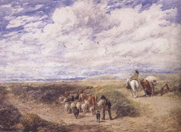 David Cox Keep the Left Road (mk47) china oil painting image
